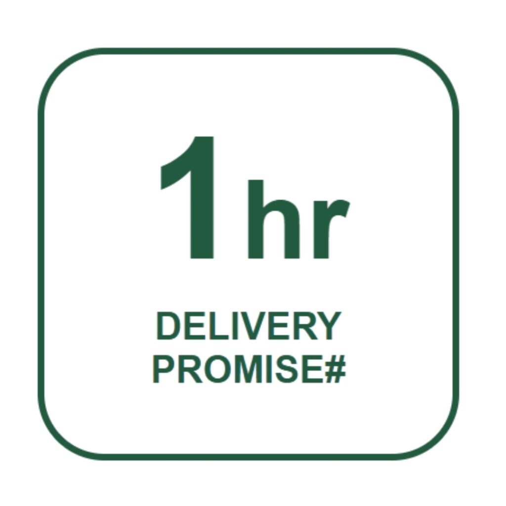 one hour delivery promise